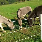Appartamento Oetscherblick Fam Winter