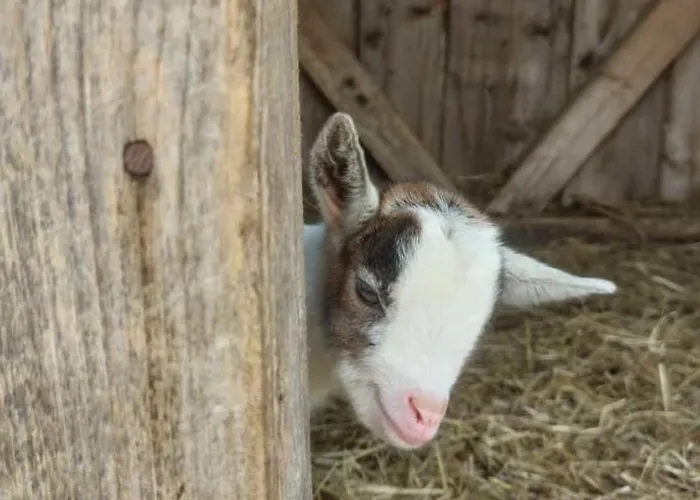 Oetscherblick Fam Winter Frankenfels