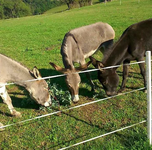 דירה Oetscherblick Fam Winter
