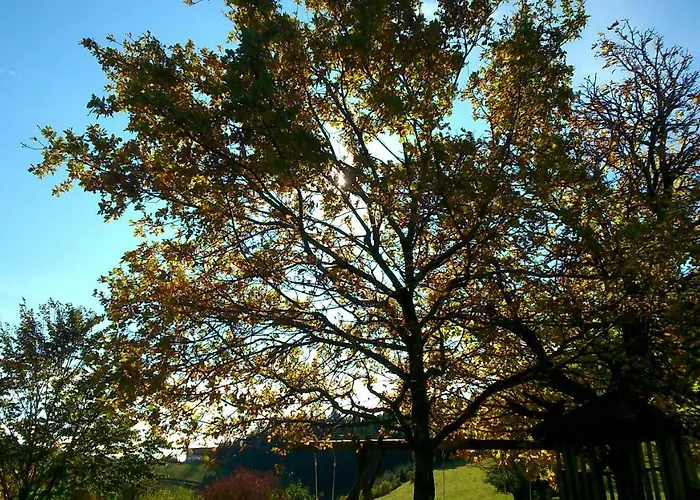 דירה Oetscherblick Fam Winter Frankenfels