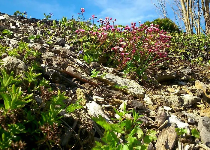 ötscherblick Fam Winter Frankenfels