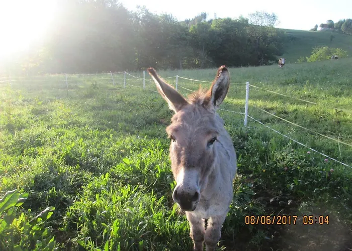 ötscherblick Fam Winter Apartment Frankenfels